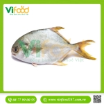Cá Chim Trắng (1.5 - 2 kg)