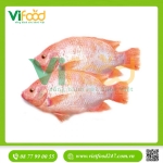 Cá điêu hồng làm sạch 0,5-1 kg/con