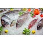 Tổng Kho Thịt Bò, Thịt Gà, Thịt Heo, Hải Sản Đông Lạnh tại Huyện Đoan Hùng, Tỉnh Phú Thọ