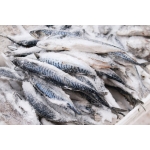 Địa chỉ bán hải sản đông lạnh nhập khẩu uy tín tại tỉnh Điện Biên