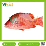 Cá hồng biển tươi 3-4 kg/con