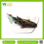 Cá Lăng tươi sống