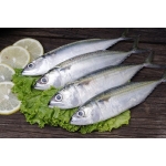 VIFOOD - Thịt Bò, Thịt Gà, Thịt Heo, Hải Sản Đông Lạnh tại Xã Xuân Đài, Tỉnh Phú Thọ