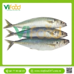 Cá nục tươi 4-6 con/kg