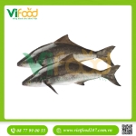 Cá bớp (3 - 5 kg)