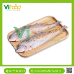 Cá thát lát (cá thác lác) rút xương nguyên con 4 con/kg