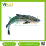 Cá trắm đen sống 4-5 kg/con