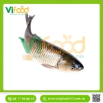 Cá trắm trắng (trắm cỏ) sống 4-5 kg/con
