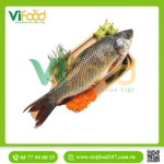 Cá trôi sống 2-2,5 kg/con