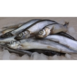 VIFOOD - Tổng Kho Thịt Bò, Thịt Gà, Thịt Heo, Hải Sản Đông Lạnh Nhập Khẩu tại Xã Tây Cốc, Tỉnh Phú Thọ