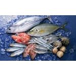 Tổng Kho Thịt Bò, Thịt Gà, Thịt Heo & Hải Sản Đông Lạnh Nhập Khẩu tại Xã Lao Chải, Tỉnh Lào Cai