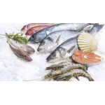 VIFOOD – Thịt Bò, Thịt Gà, Thịt Heo, Hải Sản Đông Lạnh tại Phường Đồ Sơn, Thành phố Hải Phòng