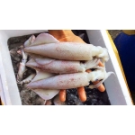 Sỉ Lẻ Thịt Bò, Thịt Gà, Thịt Heo, Hải Sản Đông Lạnh tại Xã Thụy Hùng, Tỉnh Lạng Sơn