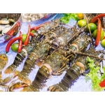  Tổng Kho Thịt Bò, Thịt Gà, Thịt Heo, Hải Sản Đông Lạnh Xã Xuân Nha, huyện Vân Hồ, tỉnh Sơn La