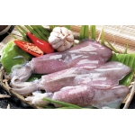 Tổng Kho Thịt Bò, Thịt Gà, Thịt Heo, Hải Sản Đông Lạnh Nhập Khẩu Chính Hãng Tại Xã Phúc Lộc, Tỉnh Thái Nguyên