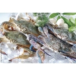 VIFOOD - Tổng Kho Thịt Bò, Thịt Gà, Thịt Heo, Hải Sản Đông Lạnh tại Xã Chí Tiên, Tỉnh Phú Thọ