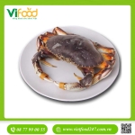   Cua Bắc Mỹ Dungeness Sống