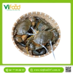   Cua Gạch Cà Mau G3