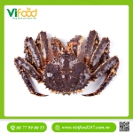 Cua Hoàng Đế Đỏ Sống