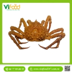 Cua Hoàng Đế Vàng Sống