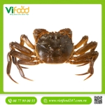   Cua Lông Hongkong Sống 6-7 con/1kg