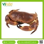 Cua Nâu Nauy nhập khẩu sống