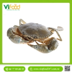 Cua Thịt Cà Mau Sống Y4