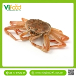 Cua Tuyết Canada Sống