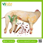 Cừu đực tơ móc hàm ( Bỏ Đầu Chân )