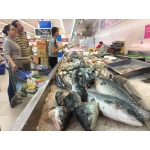 Tổng Kho Thịt Bò, Thịt Gà, Thịt Heo, Hải Sản Đông Lạnh tại Xã Lạc Phượng, Thành phố Hải Phòng