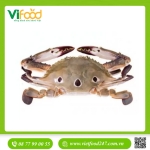 Ghẹ Đông Lạnh Nguyên Con