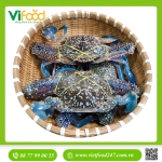 Ghẹ Xanh Tươi Size 2-4 con