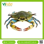 Ghẹ Xanh Tươi Size 5-6 con