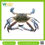 Ghẹ Xanh Sống Size Lớn