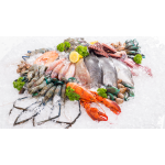 VIFOOD – Thịt Bò, Thịt Gà, Thịt Heo, Hải Sản Đông Lạnh tại Phường An Dương, Thành phố Hải Phòng