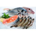 Cung Cấp Thịt Bò, Thịt Gà, Thịt Heo, Hải Sản Đông Lạnh Nhập Khẩu Uy Tín Tại Xã Trung Giã, Hà Nội