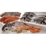 VIFOOD - Tổng Kho Thịt Bò, Thịt Gà, Thịt Heo, Hải Sản Đông Lạnh tại Xã Đại Lai, Tỉnh Bắc Ninh