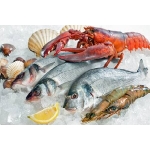 VIFOOD - Tổng Kho Thịt Bò, Thịt Gà, Thịt Heo, Hải Sản Đông Lạnh tại Phường Ninh Xá, Tỉnh Bắc Ninh