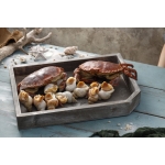 VIFOOD – Thịt Bò, Thịt Gà, Thịt Heo, Hải Sản Đông Lạnh tại Phường Thiên Hương, Thành phố Hải Phòng