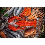 Kho Thịt Bò, Thịt Gà, Thịt Heo, Hải Sản Đông Lạnh tại Xã Định Hóa, Tỉnh Thái Nguyên