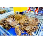 VIFOOD – Nhà cung cấp Thịt Bò, Thịt Gà, Thịt Heo, Hải Sản đông lạnh nhập khẩu tại Phường Phượng Sơn, Tỉnh Bắc Ninh