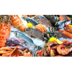 VIFOOD - Tổng Kho Thịt Bò, Thịt Gà, Thịt Heo, Hải Sản Đông Lạnh tại Xã Lương Tài, Tỉnh Bắc Ninh