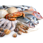 Cung Cấp  Thịt Bò, Thịt Gà, Thịt Heo, Hải Sản Đông Lạnh tại Xã Quảng Yên, Huyện Thanh Ba, Tỉnh Phú Thọ