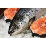 VIFOOD - Tổng Kho Thịt Bò, Gà, Heo, Hải Sản Đông Lạnh tại Xã Xuân Lương, Tỉnh Bắc Ninh