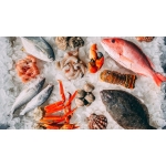 Kho Sỉ Lẻ Thịt Bò, Thịt Gà, Thịt Heo, Hải Sản Đông Lạnh tại Xã Khánh Khê, Tỉnh Lạng Sơn