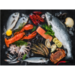 VIFOOD – Cửa Hàng Cung Cấp Thịt Bò, Thịt Gà, Thịt Heo, Hải Sản đông lạnh nhập khẩu tại Xã Kiên Lao, Tỉnh Bắc Ninh