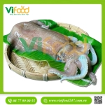 Mực lá câu tươi 1 - 1,2 kg/con