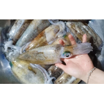 Địa Chỉ Cung Cấp Thịt Bò, Gà, Heo, Hải Sản Đông Lạnh tại Xã Ba Chẽ, Tỉnh Quảng Ninh