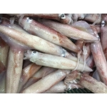 VIFOOD - Tổng Kho Thịt Bò, Thịt Gà, Thịt Heo, Hải Sản Đông Lạnh tại Phường Vân Hà, Tỉnh Bắc Ninh