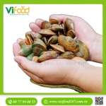 Ngao Hoa Tươi Sống